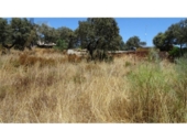 Terreno no urbanizable en venta en la España, Castilblanco de los Arroyos, ref: TR409433 foto