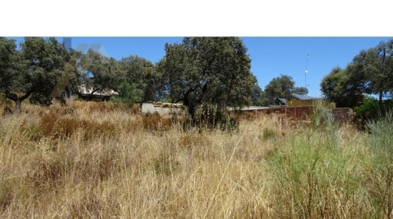 Sevilla - Castilblanco de los Arroyos - 1000m2