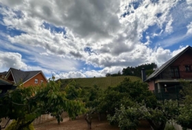 Arganza 823&nbsp;m²