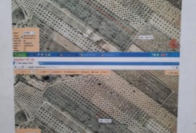 Caudete 14104&nbsp;m²