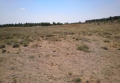 Terreno no urbanizable en venta en la España, Almansa, ref: TR113977 foto