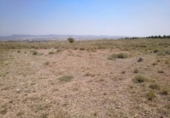 Terreno no urbanizable en venta en la España, Almansa, ref: TR113977 foto