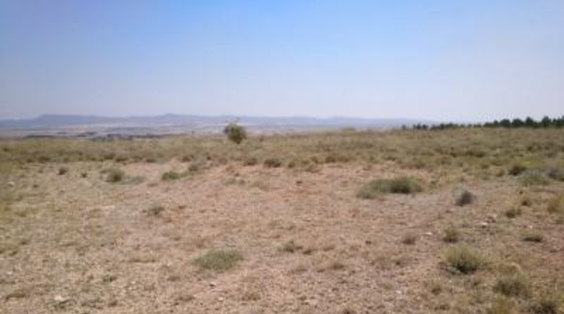 Albacete - Almansa - 11000m2