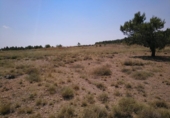 Terreno no urbanizable en venta en la España, Almansa, ref: TR113977 foto