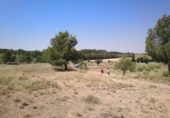 Terreno no urbanizable en venta en la España, Almansa, ref: TR113977 foto