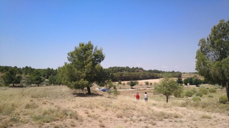 Albacete - Almansa - 11000m2