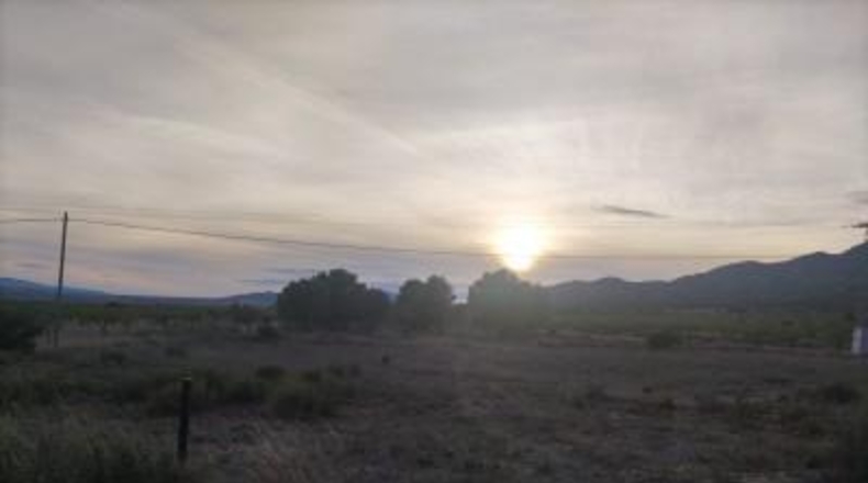 Alicante - Pinoso - 14000m2