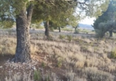 Parcela urbanizable en venta en la España, Pinoso, ref: TR122144 foto