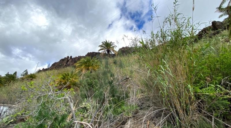 Las Palmas - San Bartolomé de Tirajana - 1000m2