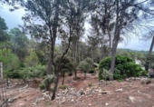 Suelo urbano en venta en la España, Castellnou de Bages, ref: TR118320 foto
