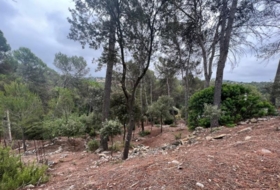 Foto 9