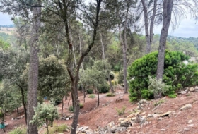 Foto 15