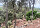 Suelo urbano en venta en la España, Castellnou de Bages, ref: TR118320 foto
