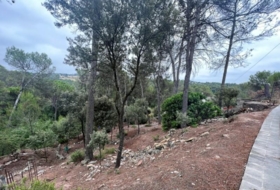Foto 13