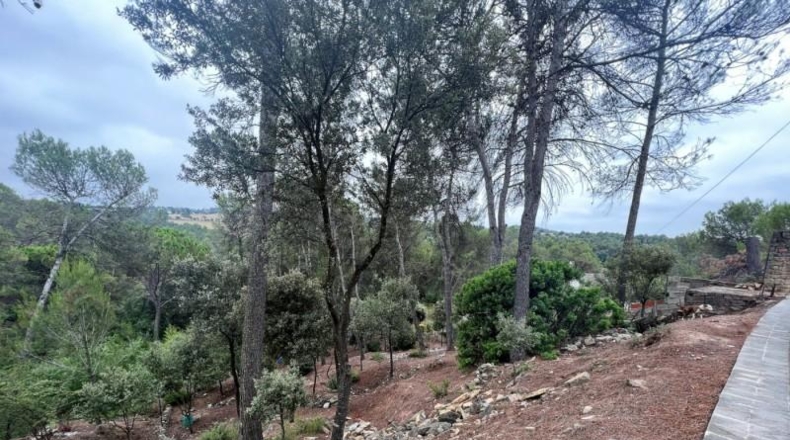 Barcelona - Castellnou de Bages - 640m2