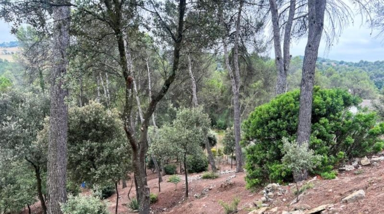 Barcelona - Castellnou de Bages - 640m2