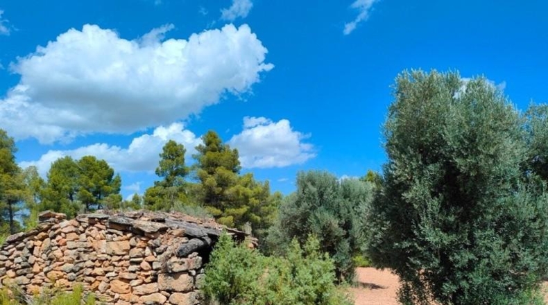 Teruel - Belmonte de San José - 48371m2