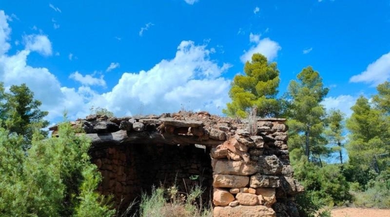 Teruel - Belmonte de San José - 48371m2