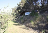 Terreno no urbanizable en venta en la España, la Fatarella, ref: TR119119 foto