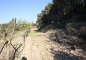 Terreno no urbanizable en venta en la España, la Fatarella, ref: TR119119 foto