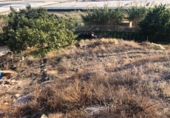 Terreno no urbanizable en venta en la España, Adra, ref: TR125124 foto