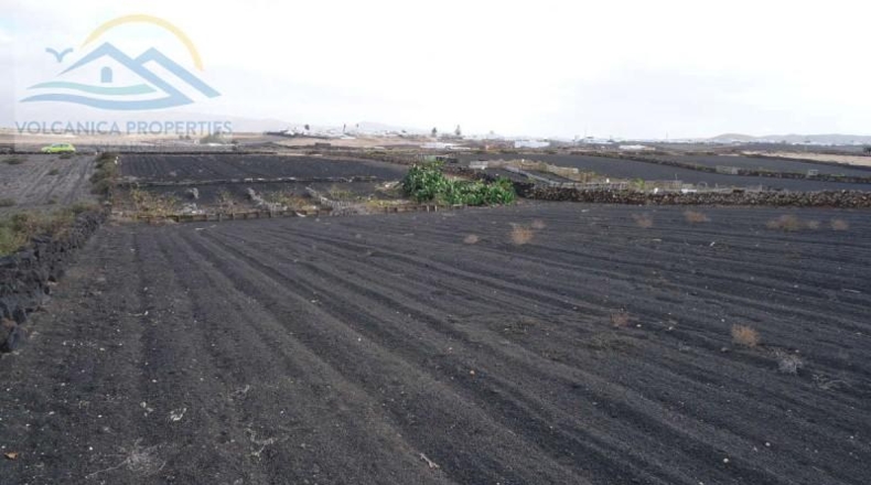Las Palmas - Tinajo - 3168m2