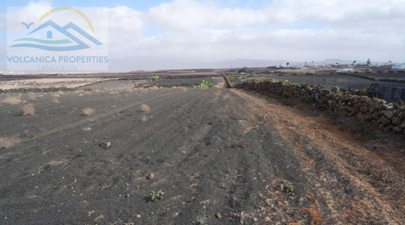 Las Palmas - Tinajo - 3168m2