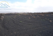 Terreno no urbanizable en venta en la España, Tinajo, ref: TR116813 foto