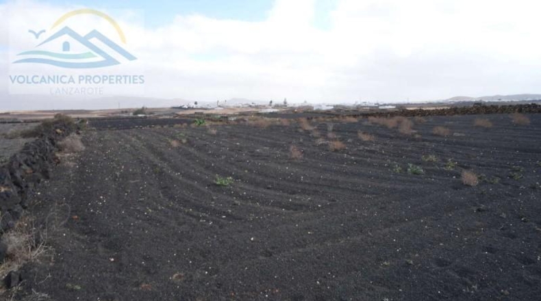 Las Palmas - Tinajo - 3168m2
