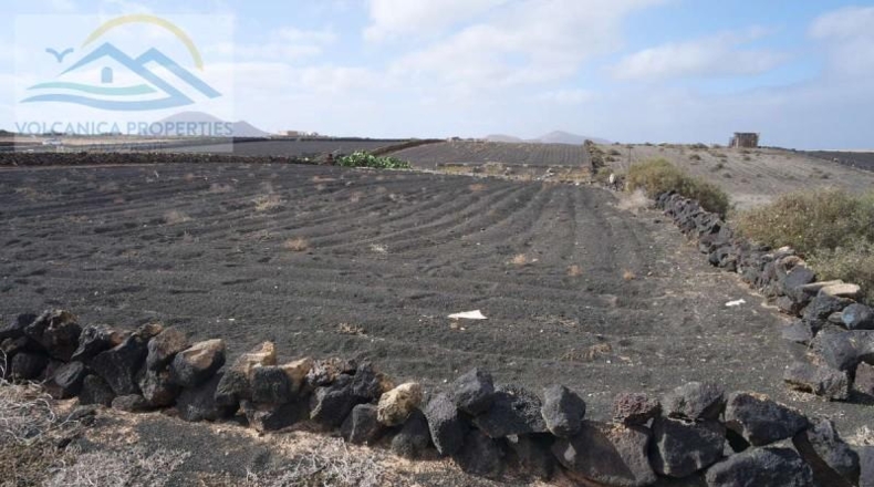 Las Palmas - Tinajo - 3168m2