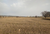 Parcela urbanizable en venta en la España, Almansa, ref: TR116821 foto