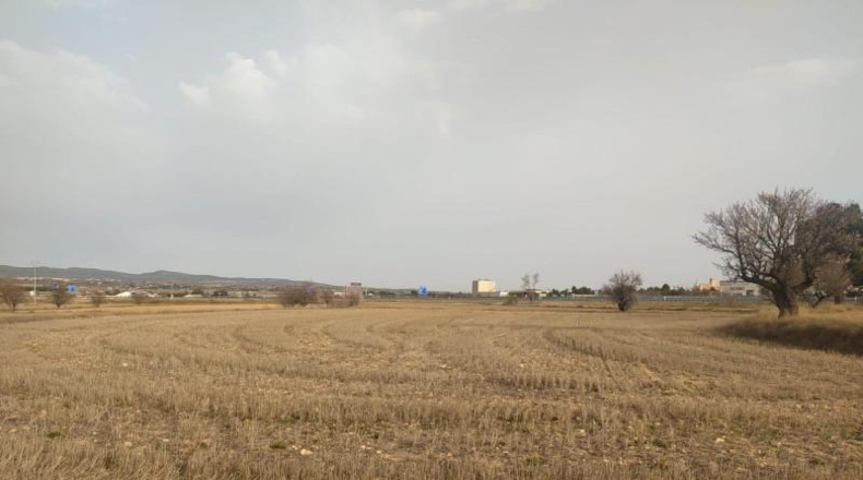 Albacete - Almansa - 38000m2