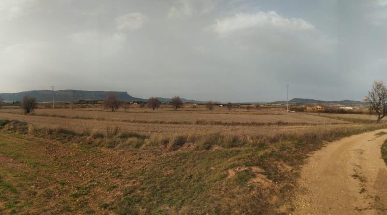 Albacete - Almansa - 38000m2