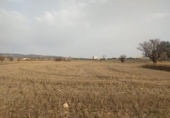 Parcela urbanizable en venta en la España, Almansa, ref: TR116821 foto