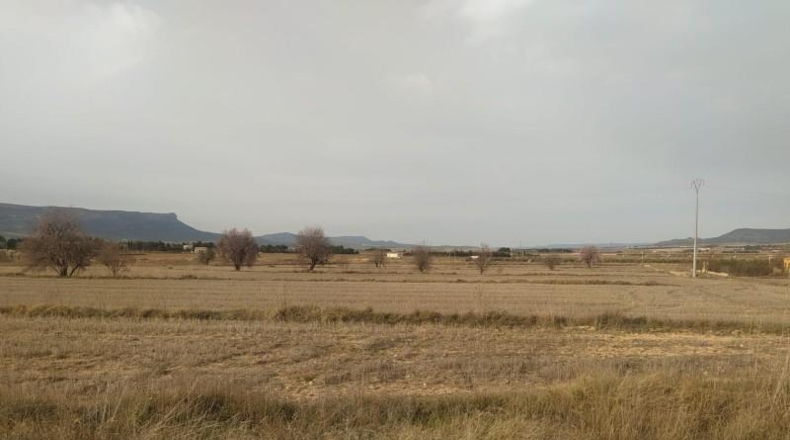 Albacete - Almansa - 38000m2