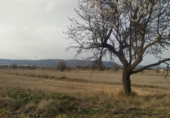 Parcela urbanizable en venta en la España, Almansa, ref: TR116821 foto