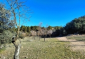 Chalet independiente con terreno en venta en la España, Horta de Sant Joan, ref: TR293332 foto