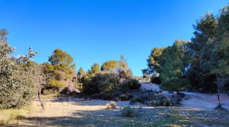Tarragona - Horta de Sant Joan - 11166m2