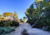 Chalet independiente con terreno en venta en la España, Horta de Sant Joan, ref: TR293332 foto
