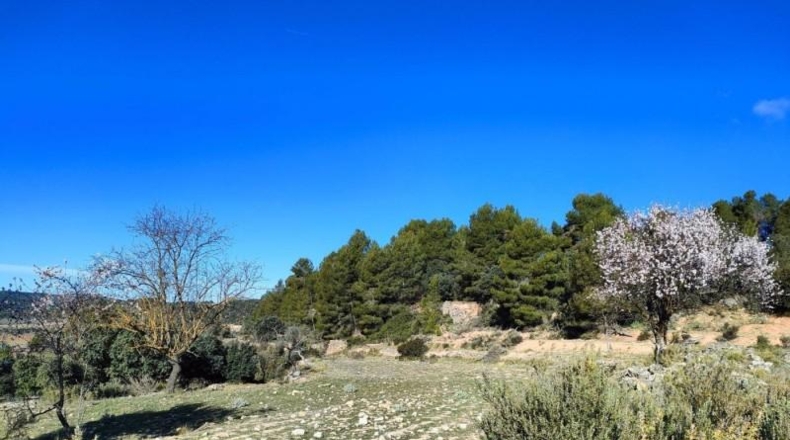Tarragona - Horta de Sant Joan - 11166m2