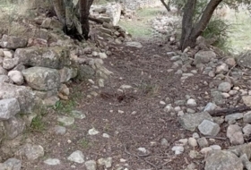 Foto 15