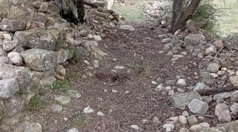 Tarragona - Horta de Sant Joan - 11166m2