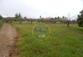 Terreno no urbanizable en venta en la España, Ontinyent, ref: TR117472 foto