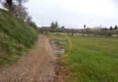 Terreno no urbanizable en venta en la España, Ontinyent, ref: TR117472 foto