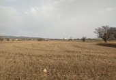 Terreno no urbanizable en venta en la España, Almansa, ref: TR120772 foto