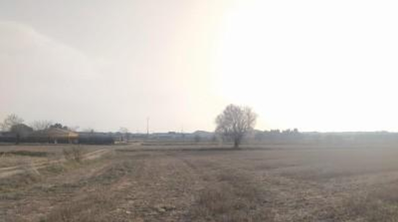 Albacete - Almansa - 40000m2