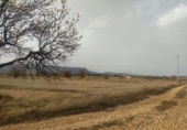 Terreno no urbanizable en venta en la España, Almansa, ref: TR120772 foto