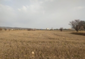 Terreno no urbanizable en venta en la España, Almansa, ref: TR120772 foto