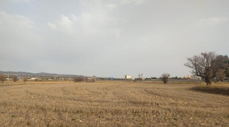 Albacete - Almansa - 40000m2