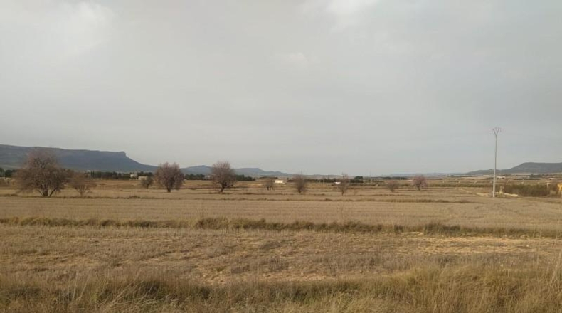 Albacete - Almansa - 40000m2